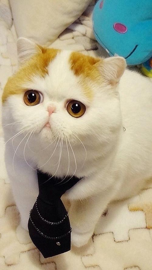 й½ϳƫ ȫůorȫ䣿