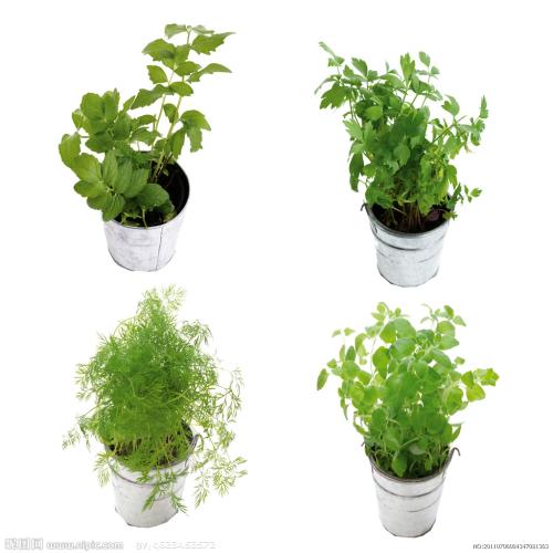 ֱΪʯҵ 㶫Ļᡰ˷硱ת