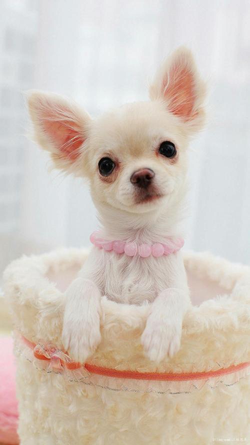 70¹ڷȷﲡ ۼƱ8610